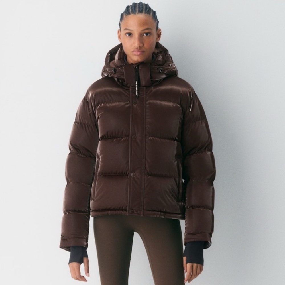 Aritzia Chocolate Brown Puffer Jacket- Shorty High Gloss